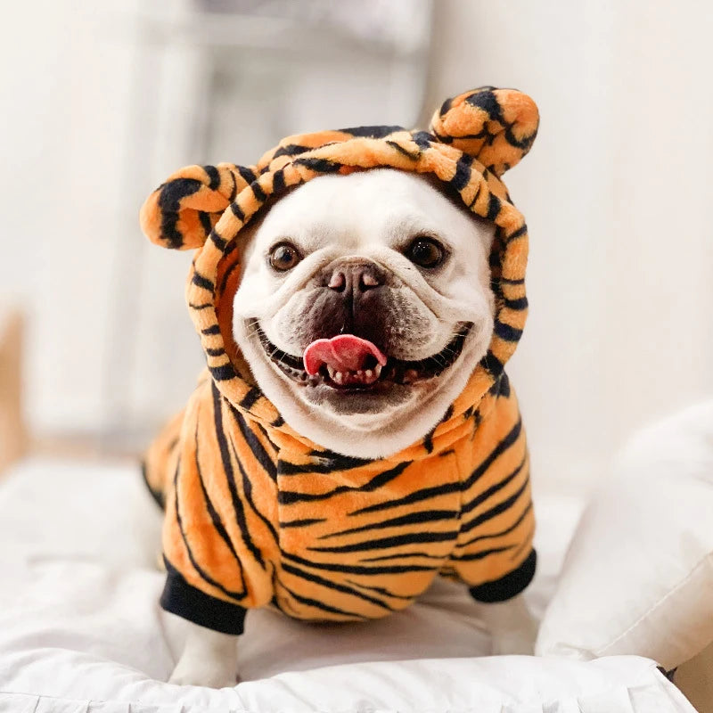 Pet Clothes Halloween