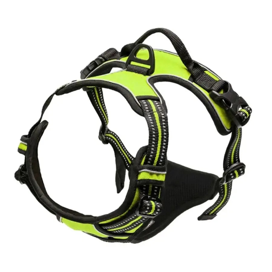 Dog Collars Harness