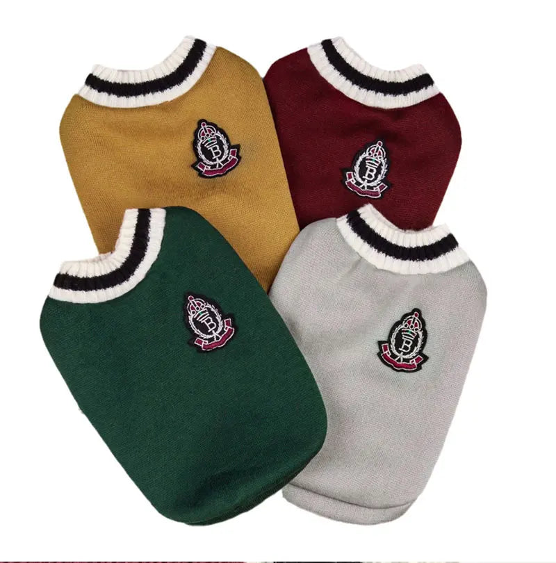 Dog Sweater College Outfits