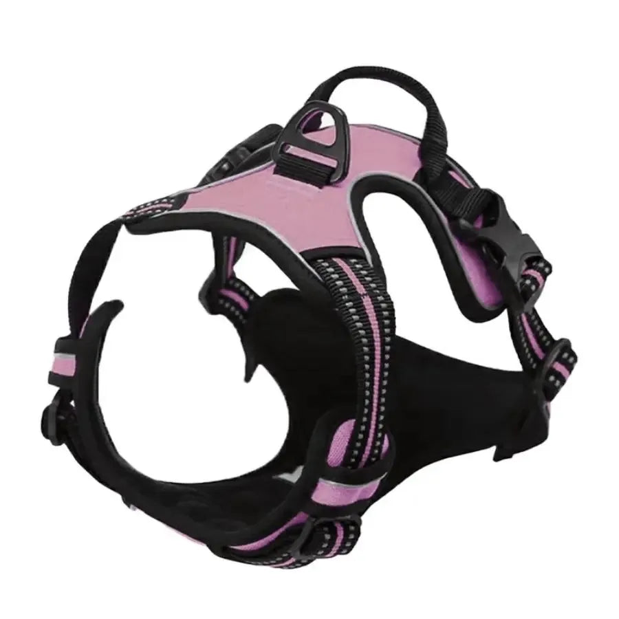 Dog Collars Harness