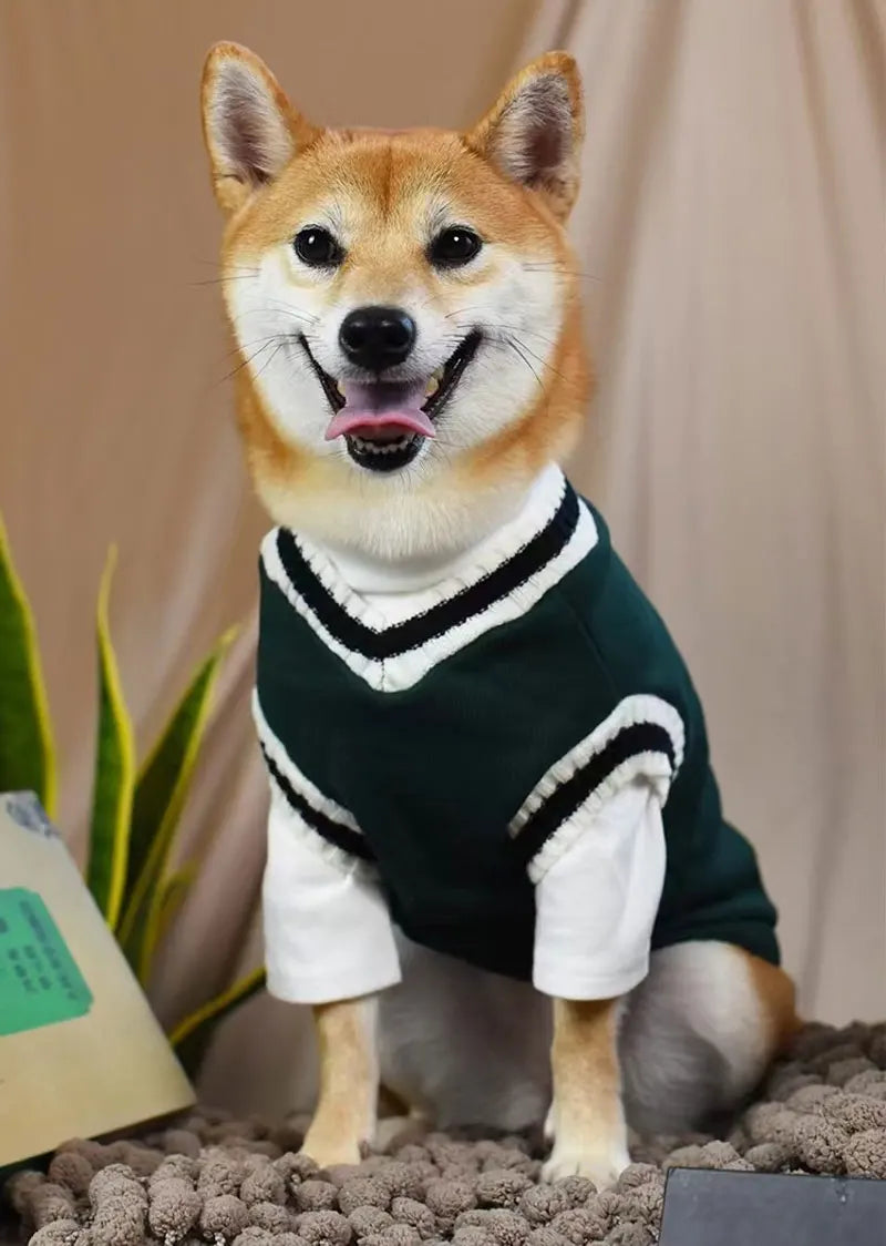 Dog Sweater College Outfits