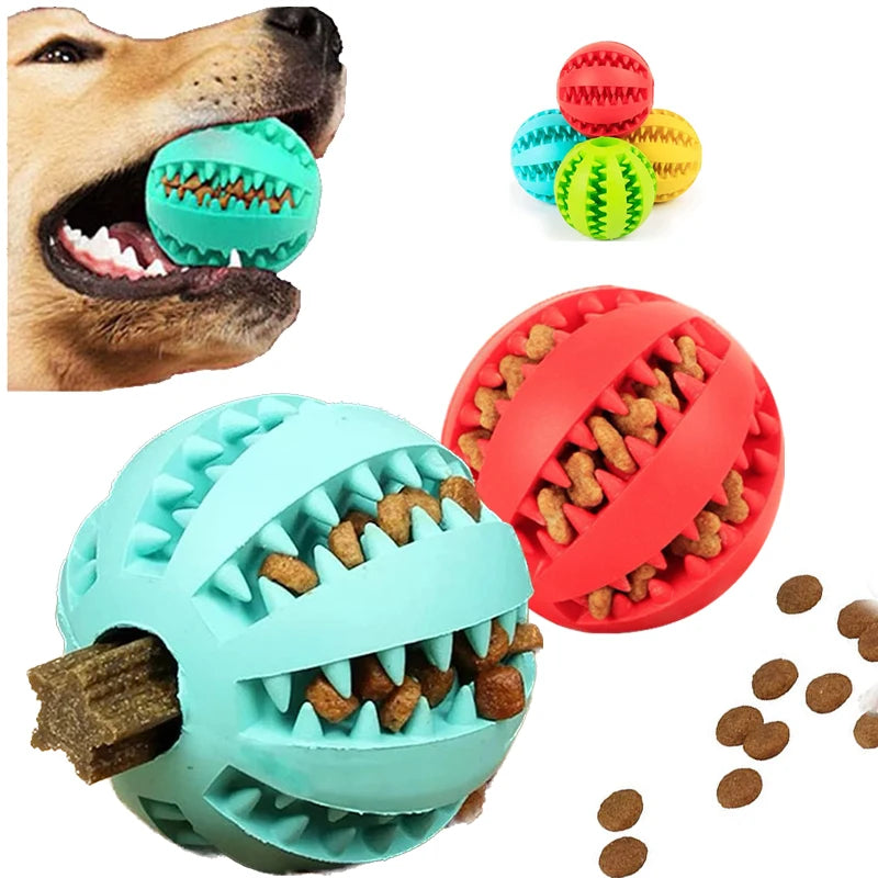 Dog Ball Toy
