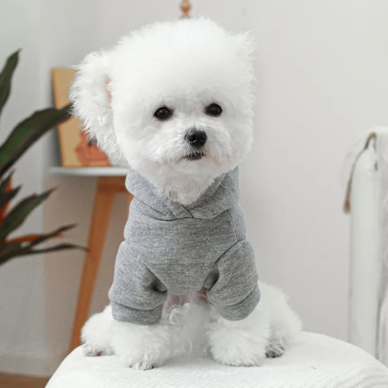 Pet Dog Clothes