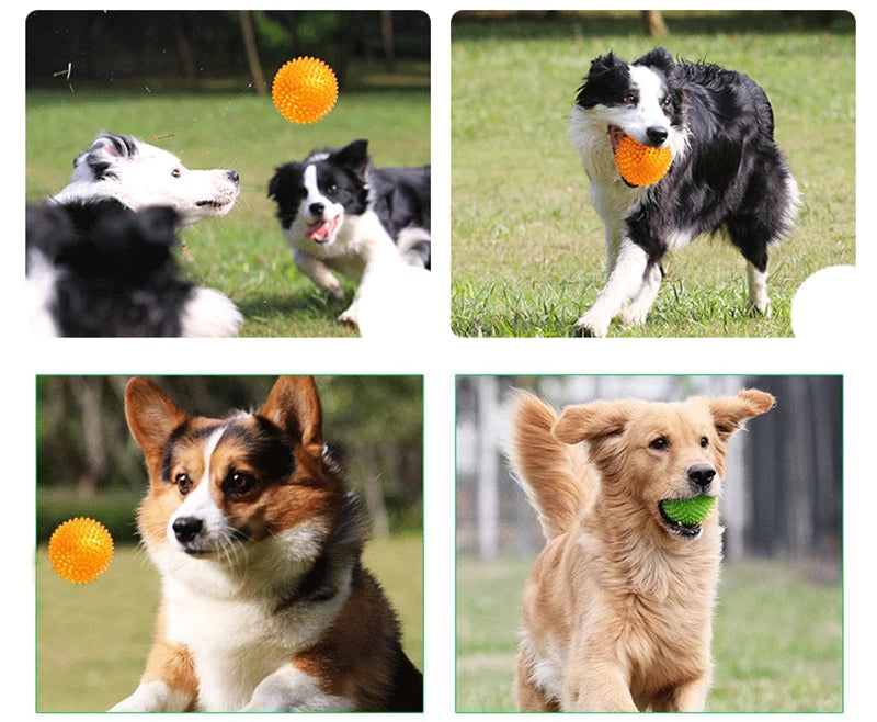 Pet Dog Toys Balls Accessories