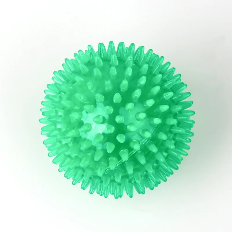 Pet Dog Toys Balls Accessories