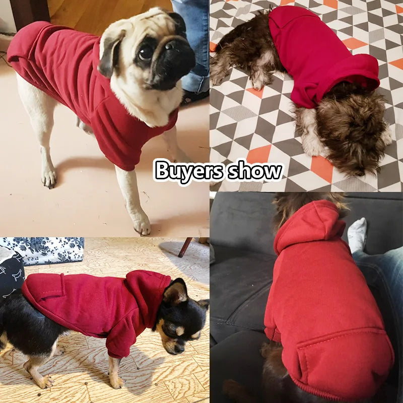 Fashion Pet Clothes