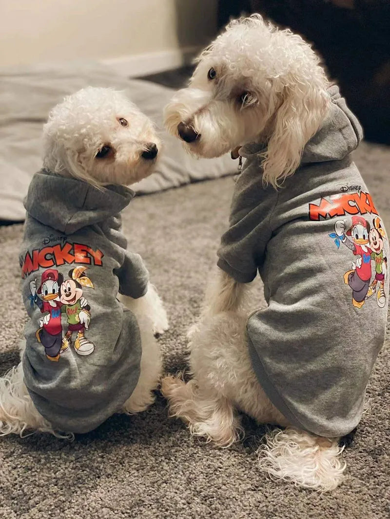 Disney Cartoon Clothes