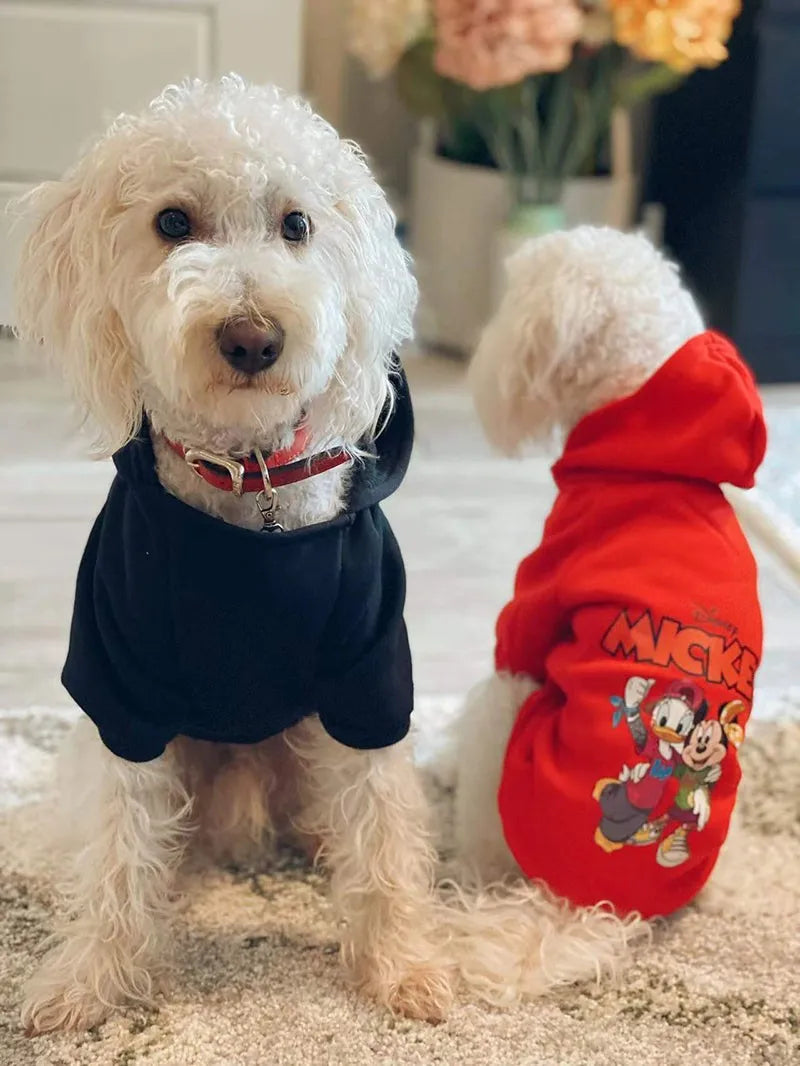 Disney Cartoon Clothes