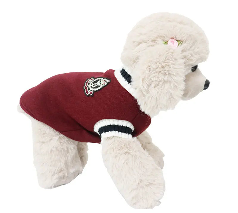 Dog Sweater College Outfits