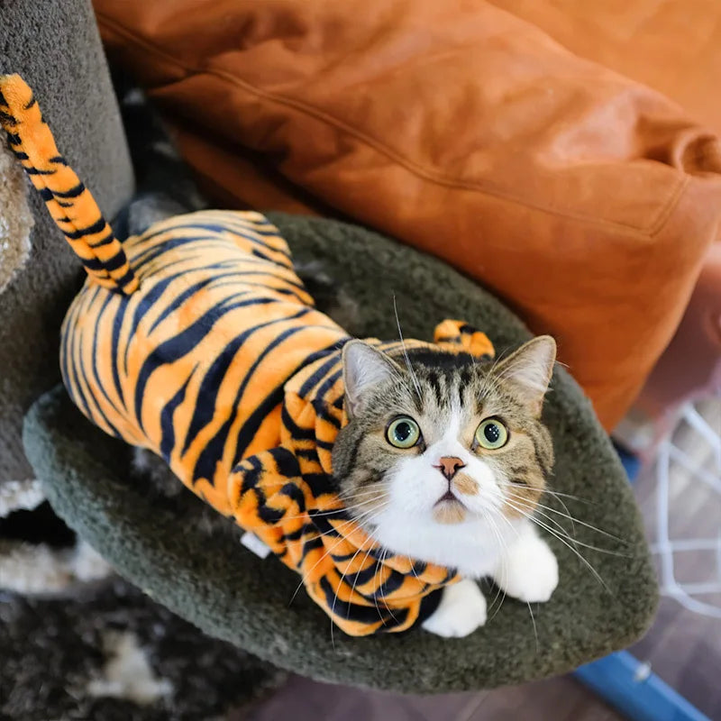 Pet Clothes Halloween