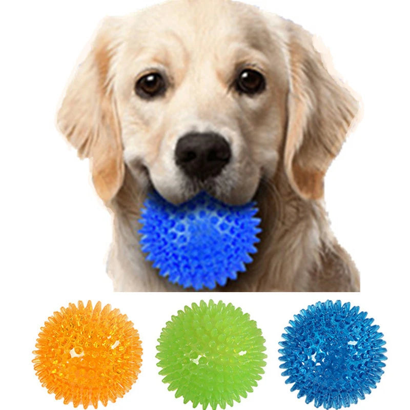 Pet Dog Toys Balls Accessories