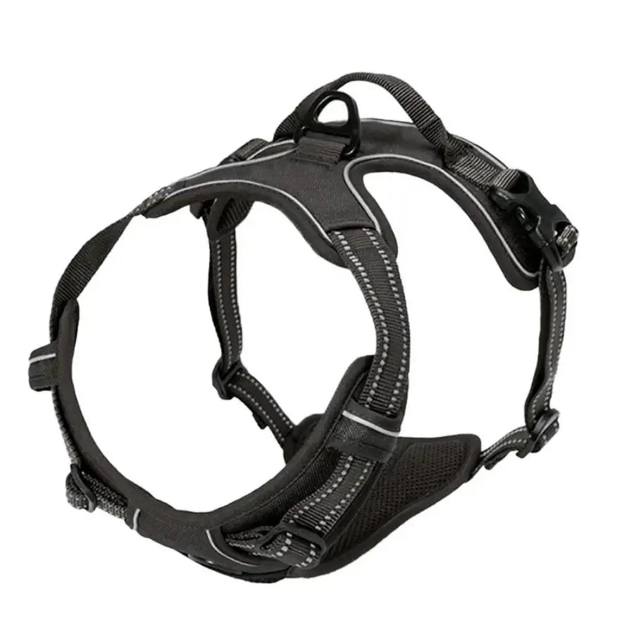 Dog Collars Harness